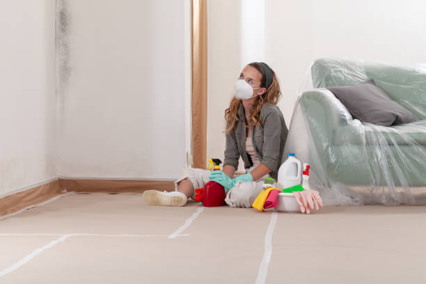 Reliable Mold Inspection contractor in Middleburg, FL by WQB Mold Removal